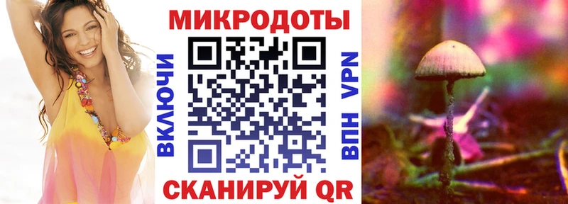 Псилоцибиновые грибы Magic Shrooms  Артём 
